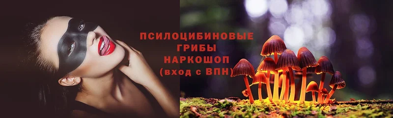 Псилоцибиновые грибы Magic Shrooms  Кадников 